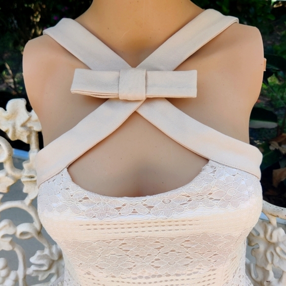 Embroidered floral lace fit and flare mini - Picture 3 of 16